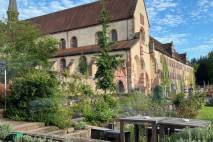 Kloster Bronnbach 2025 aus Sicht der Orangerie